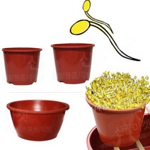 플라스틱 대형 콩나물시루 새싹 재배기 플라스틱 화분 식당 업소용, 기본형시루 (4호), 1개