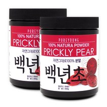 퓨어영 국산 백년초가루 300g 백년초 손바닥 선인장, 2통