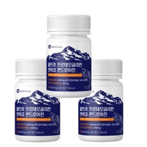 울트라프로테오글리칸 연어코콘드로이친 상어연골분말100프로 500mg(60정 3개), 3개, 60정