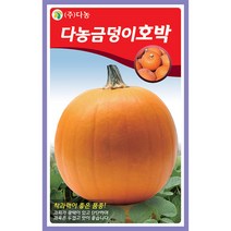땅콩 호박 씨앗 10립 - 단호박 호박씨 호박씨앗 채소 야채 재배 주말 농장 텃밭, 01_다농_다농금덩이호박(30립)
