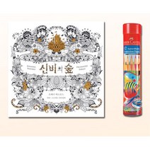 어르신 색칠공부 신비의 숲 컬러링북 수성색연필12 SET 그림 드로잉 노인