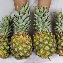 상콤달콤 과즙 끝판왕 아나나스 파인애플 4수, 없음