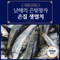 남해 생멸치 멸치회 찌개용 거제외포 생물 손질, 손질 생멸치 횟감용 1kg
