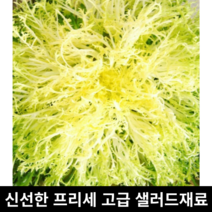 프리세 Frisee 100g 200g 생프리세 생 프리제 완전손질 특수채소 프리셀 샐러드채소 샐러드