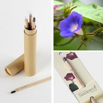 [KT알파쇼핑][바보사랑]꿈쟁이 지관필통 씨앗연필 3P 식물기르기 방울토마토 허브바질 해바라기 나팔꽃 봉선화