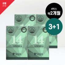 카테킨다이어트 녹차추출물 체지방컷팅제 4박스