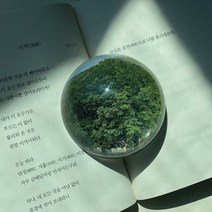 리먼트 유리 크리스탈 문진 인테리어 문진 오브제, 2.나무, M