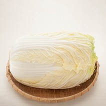 국내산 신선하고 싱싱한 알배기 배추 1개, 알배기 배추 소 1개(800g 내외)