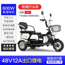 삼륜 전동스쿠터 세발 오토바이 노인 바이크, 48V 표준 모델 600W 모터 12AH 납산 빨, 48V