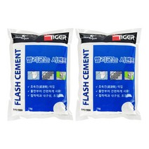 베이루 빨리굳는시멘트 회색 1kg 2개 보수용 미장 레미탈 공사 보수 줄눈 메지