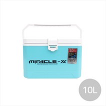 싸파 아이스박스 SIC-010YF, 혼합색상, 10L