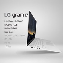 LG전자 2022 그램17(12세대) 17ZD90Q-GX76K [프리미엄 패키지] + 사은품 증정, Ferr Dos, 16GB, 512GB