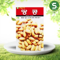 솔림텃밭몰 땅콩씨앗 20g 햇땅콩 열매 콩씨앗 재래종, 1개