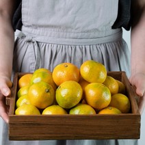 하르방마켓 제주도 하우스 귤 1kg 2kg 3kg 5kg 고당도 꼬마 소과 대과 로얄과 선물 선물용 감귤, 3_3. 제주 하우스 귤 3kg(대과)