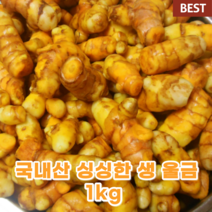 국산 국내산 생 울금 율금 1KG 강황 친환견 커큐민 신선한 강황 뿌리 웰빙 푸드 건강 제철 당뇨 혈압 음식