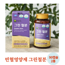 변비없는 임산부 철분 철분제 빈혈 임신준비 임신중 여성 산모 임신초기 출산후 철분 영양제 철분부족 철결핑성빈혈 여성 빈혈 철분제 유산균 배양물 철분 90캡슐, 90캡슐 2통