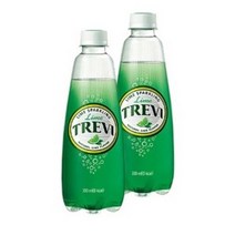 롯데칠성음료 트레비 라임 펫, 40개, 300ml