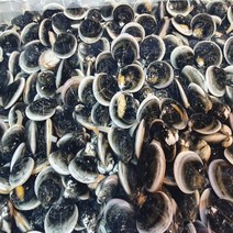 [수다모아]서울경기(일부지역제외) 당일 배송 신선함이 오래오래 산소포장 국내산 모시조개 1kg 2kg
