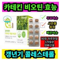 남성 여성 갱년기 50대 60대 다이어트 카테킨 비오틴 Catechin diet biotin 바이오틴 비오틴효능 콜레스테롤개선 항산화작용 체지방감소 도움 90정 엄빠선물 하루한알