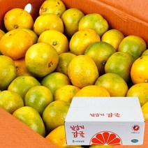 농협 [농협공판장] 제주 칠십리 노지감귤 5kg(M-2S/47-94과내), 1