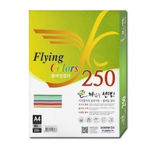 [문방구]플라잉칼라 A4 R01 10색혼합 80g 복사용지 250매nx*5824, 250매