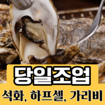 가성비 좋은 삼배체굴2kg 중 인기 상품 소개