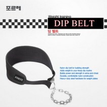 포르테 헬스보조용품 딥벨트/웨이트, 딥벨트