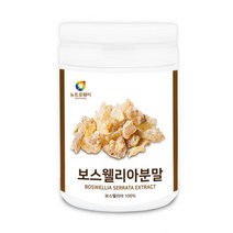 보스웰리아가루 분말 보스웰리아추출분말 보스엘리아