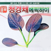 A-청경채(팍쵸이)-에픽하이 4000립 채소 종자