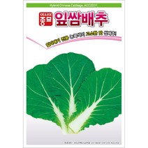 아시아종묘 배추씨앗 잎쌈배추 (2000립), 1개