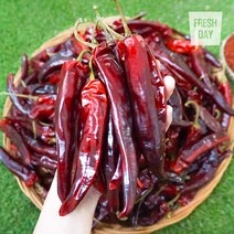 고창 황토밭 햇 건고추 2022년산, 2근, 1.2kg
