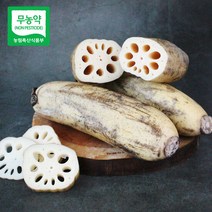 [산지직송] 경산 무농약 세척 연근 2kg, 단품