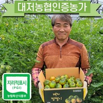 [김순용농부]대저짭짤이토마토 2.5kg 산지직송, S(중소과)-2.5kg
