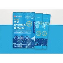 김치 유산균 스틱 락토바실러스 플란타럼 가루 국내 유산균 60포