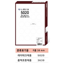 레이테크 A4라벨 전품목 주소용 물류용 바코드용 분류용 화일인덱스용 폼텍 호환 라벨지 100매, 분류표기용 20칸(폼텍 3639 호환)