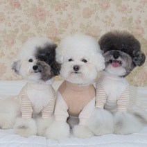 에덴숑 오가닉 코튼 베이직 티 2color 강아지티셔츠 오가닉, 스트라이프