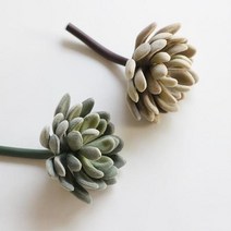 생기넘치는 다육이 현관 조화 데코 실내 조경 오피스텔 병원 미술관 사장실 사무실 통로 힐링, 상세페이지 참조, 색상_올리브