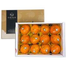 제주 귤 레드향 선물세트 3kg 9-12과, 단품