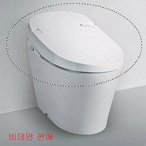 대림바스 DST-800 프리미엄 일체형비데 비데만 판매
