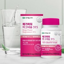 메가파워 마그네슘 마그네슘보조제V 영양제파는곳