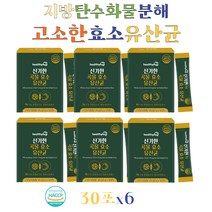 지방분해효소 곡물발효 소화효소 락토바실러스유산균 LGG 맥아 율무 적두 리파아제 프락토올리고당 프로바이오틱스