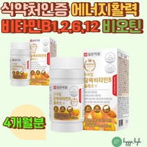 활력 에너지 비타민 B군 8종 엽산 비오틴 나이아신 2통 4개월분 30대 40대 50대 남성 여성 추천 바이타민 VITAMIN 비 컴플렉스 종합 멀티 남자 여자 부부 임신준비