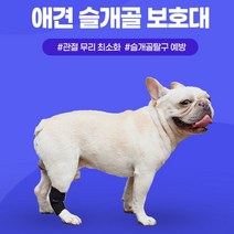 강아지 슬개골 탈골 깁스 보호대 알러지검사 수술 검사