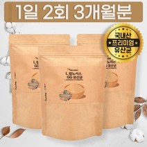 국내산 물에 타먹는 유산균 락토바실러스 람노서스 프랑스산 프로바이오틱스 분말 한국형, 상세페이지 참조, 상세페이지 참조