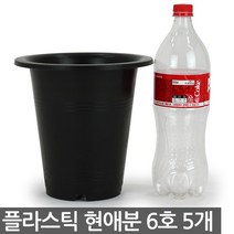 플라스틱 현애분 6호 화이트 5개 - 화분 베란다화분 꽃화분 대형화분 플라스틱화분 검정화분 블랙 화이트 흰색 파란화분, 01_한성_현애분 블랙(6호) X 5개