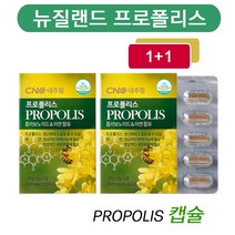 [CNC 네추럴] 뉴질랜드 프로폴리스 캡슐 1 + 1 / 플라보노이드 17mg / 아연 / 옥타코사놀