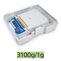 국산/AND저울 교육용저울 KC-3000/3100g 1g단위 전용케이스