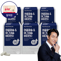 뉴트리원 흡수빠른 어골칼슘 칼슘 마그네슘 비타민D 아연 활력환 기획세트, 60정, 6박스