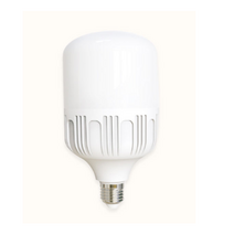 데이온 T-lamp 20W 30W 40W 50W 80W LED램프 보안등/크림벌브/콘벌브/T램프/글러브램프/고촉전구, 30W E26 주광색(하얀색빛)