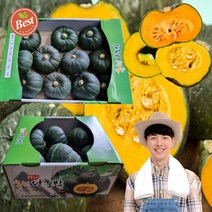 강원도 숙성 미니 밤호박 3kg 4kg 3키로 4키로 단호박 보우짱 밤단호박 보짱 국산 국내산 10킬로 특상품 특품 호박 산지직송 특산품 햇미니, 단호박 4kg